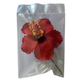 Fleur d'Hibiscus pour Oreille ou Cheveux - Tahiti Pack