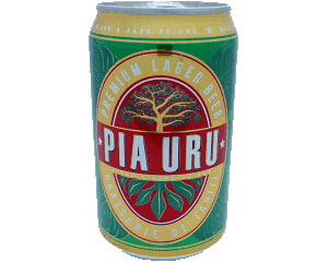 Bière au fruit de l'arbre à pain (Uru) - VIDE
