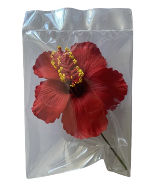 Fleur d'Hibiscus pour Oreille ou Cheveux - Tahiti Pack