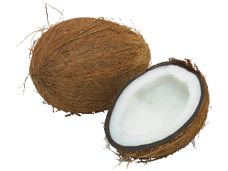 Coconut